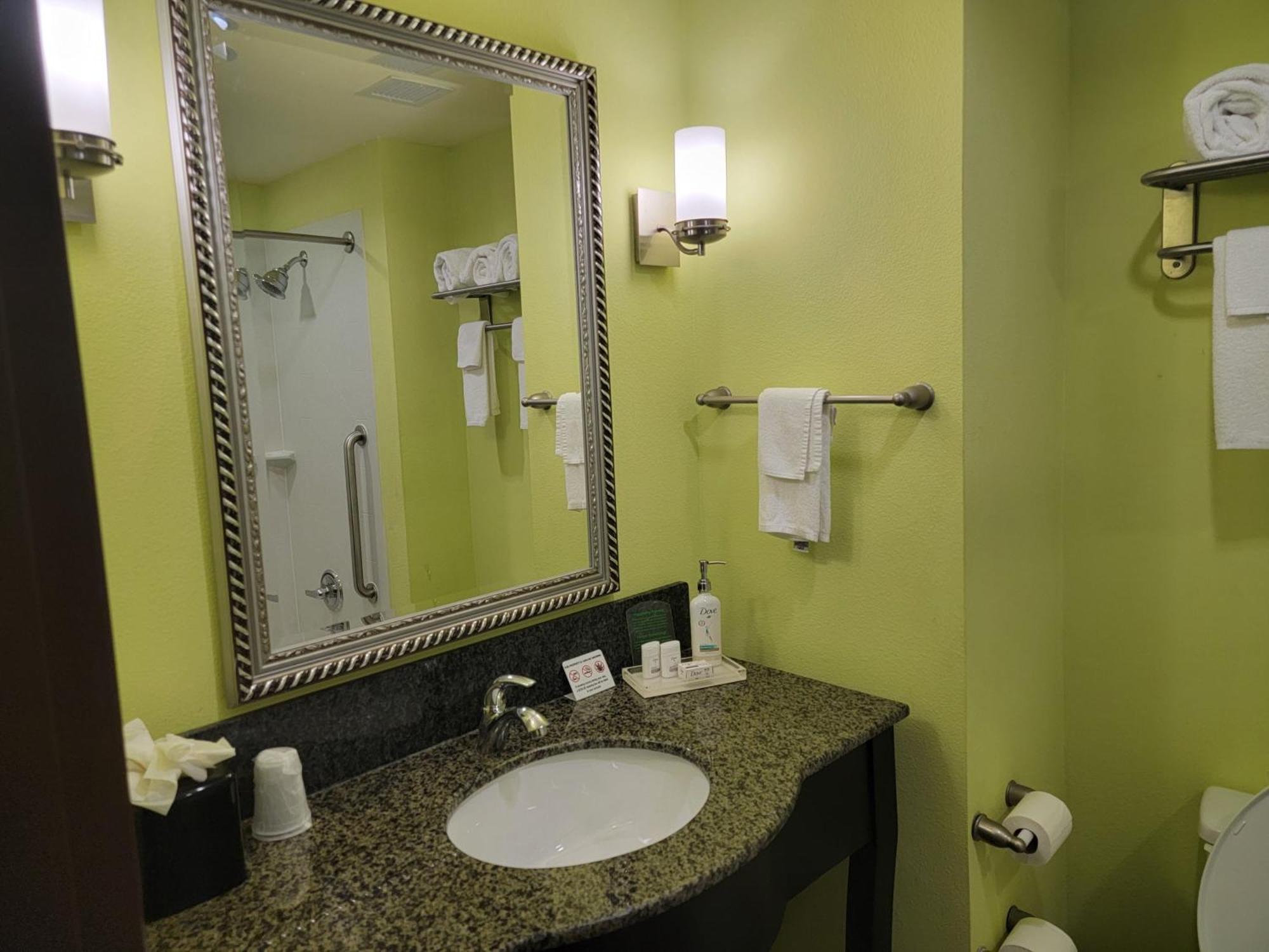 Deluxe King Room Disability Access Accessible Tub,1552250881:JPEG